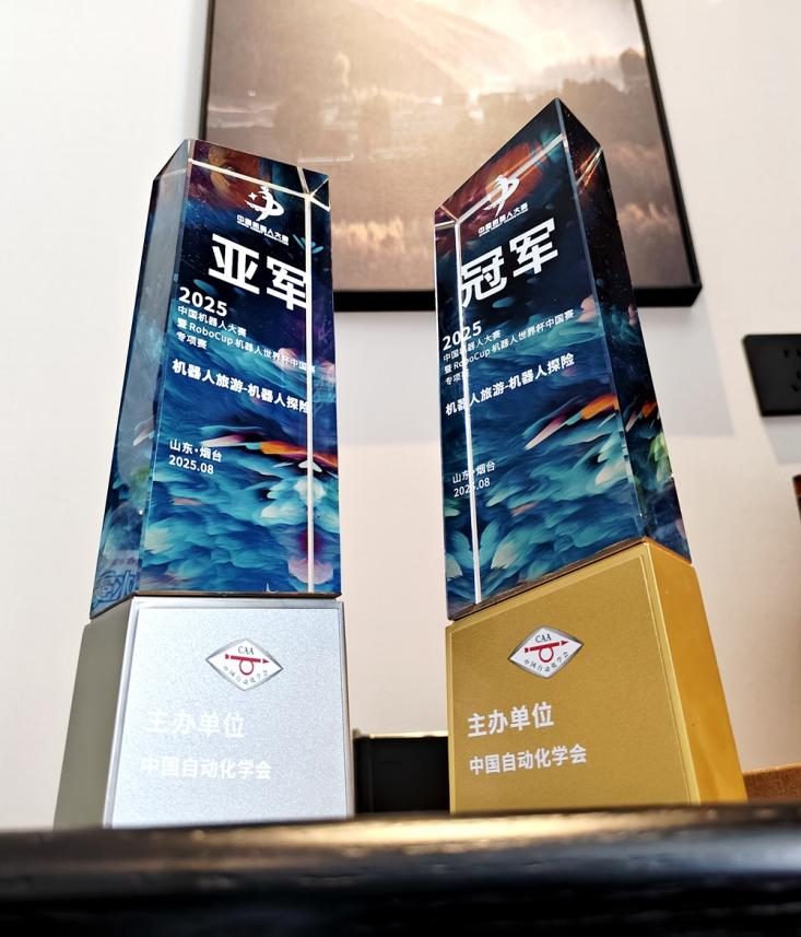 中国机器人, 冠亚军