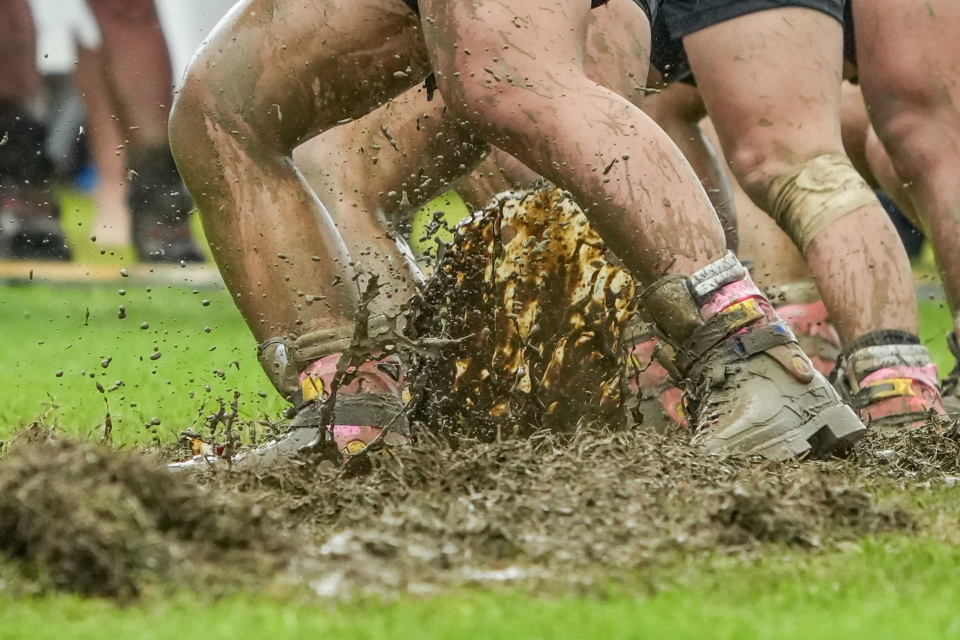 bt, zoRTn, src bt, zoRTn, src