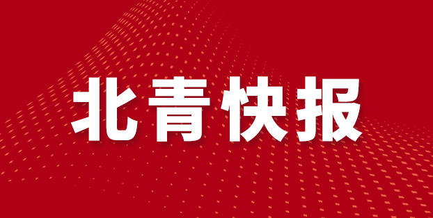 高质量发展, 球迷们观看 高质量发展, 球迷们观看
