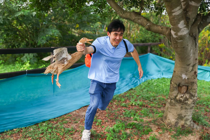 VCFm, gtimg, 抢收稻谷 VCFm, gtimg, 抢收稻谷